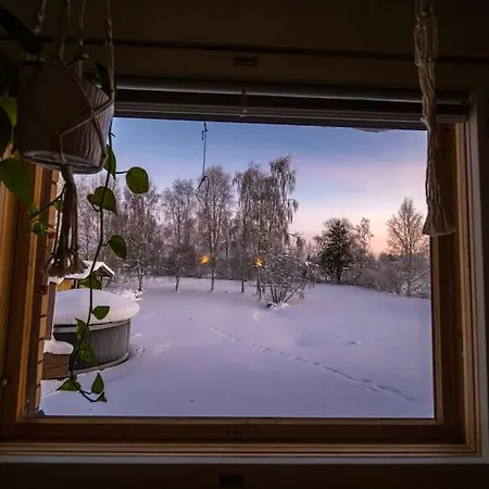 Arcticfox * Rovaniemi